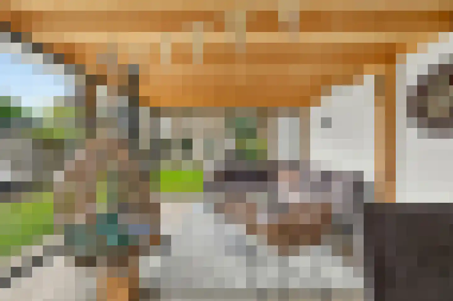 Roerdomp 2 Papendrecht thumbnail 4