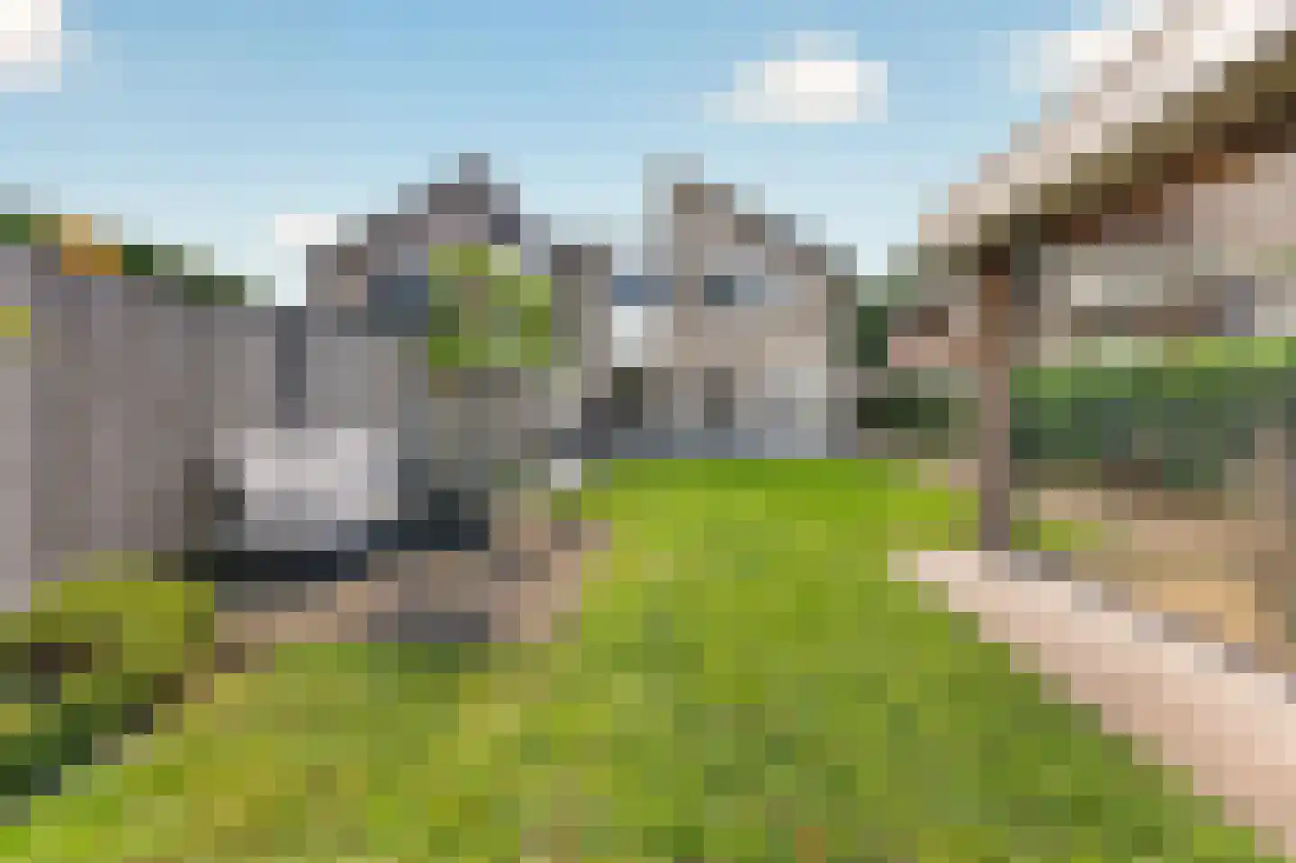 Roerdomp 2 Papendrecht thumbnail 40