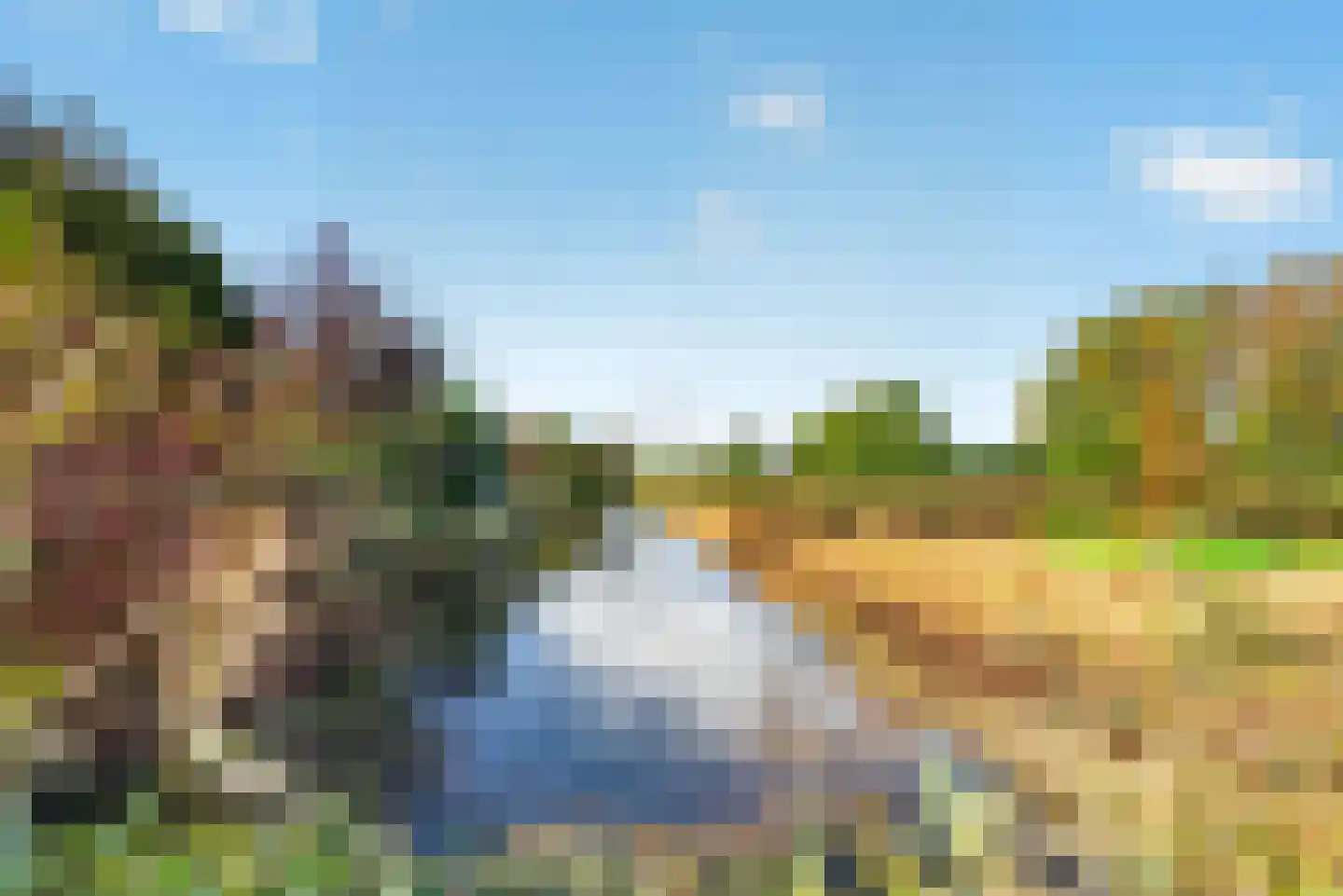 Roerdomp 2 Papendrecht thumbnail 45