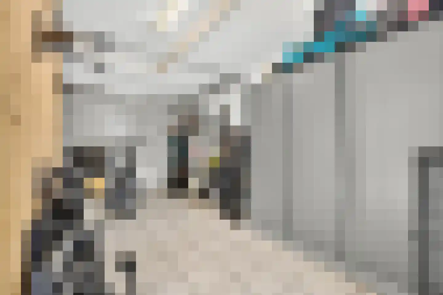 Roerdomp 2 Papendrecht thumbnail 46