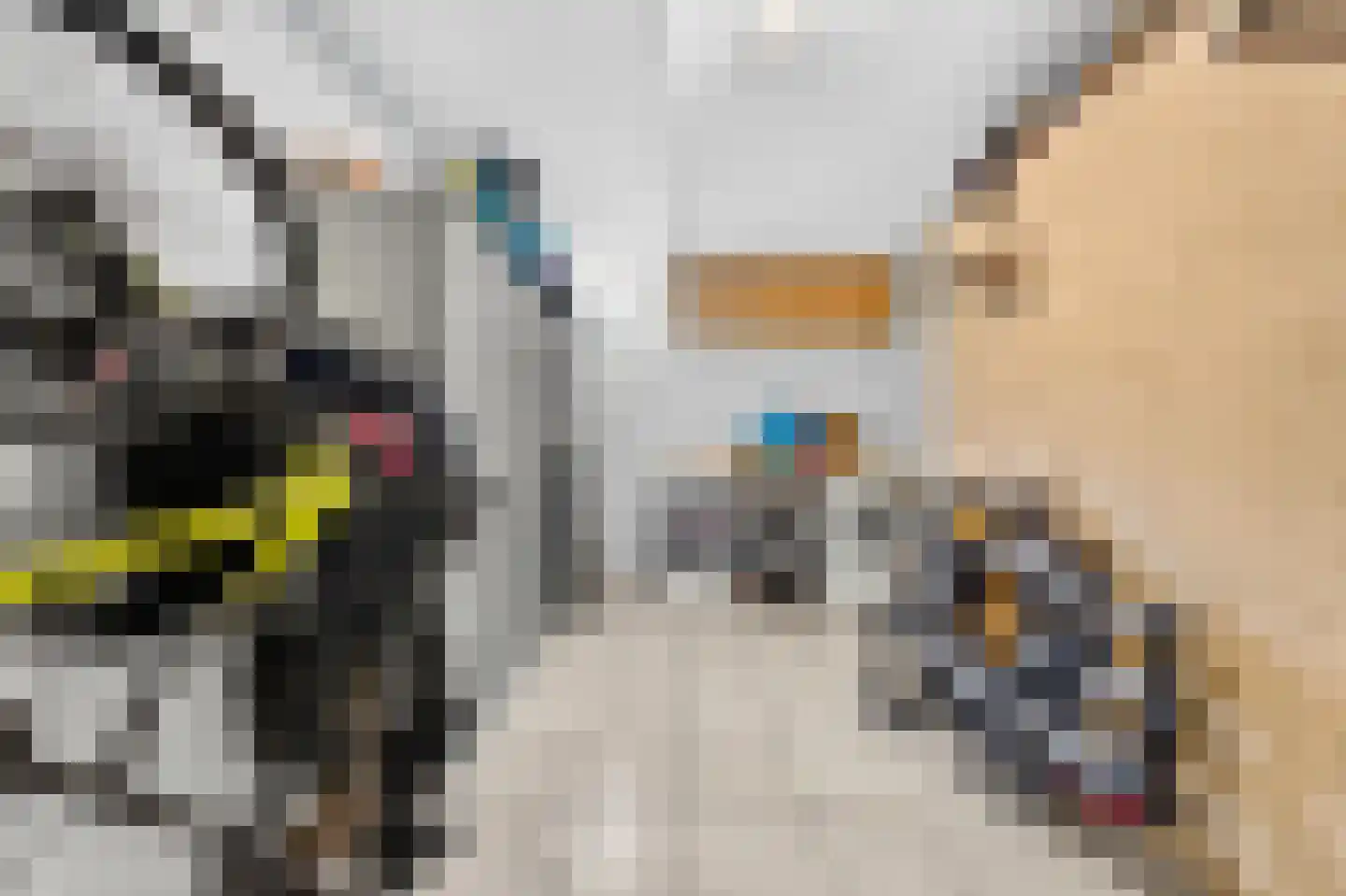Roerdomp 2 Papendrecht thumbnail 47