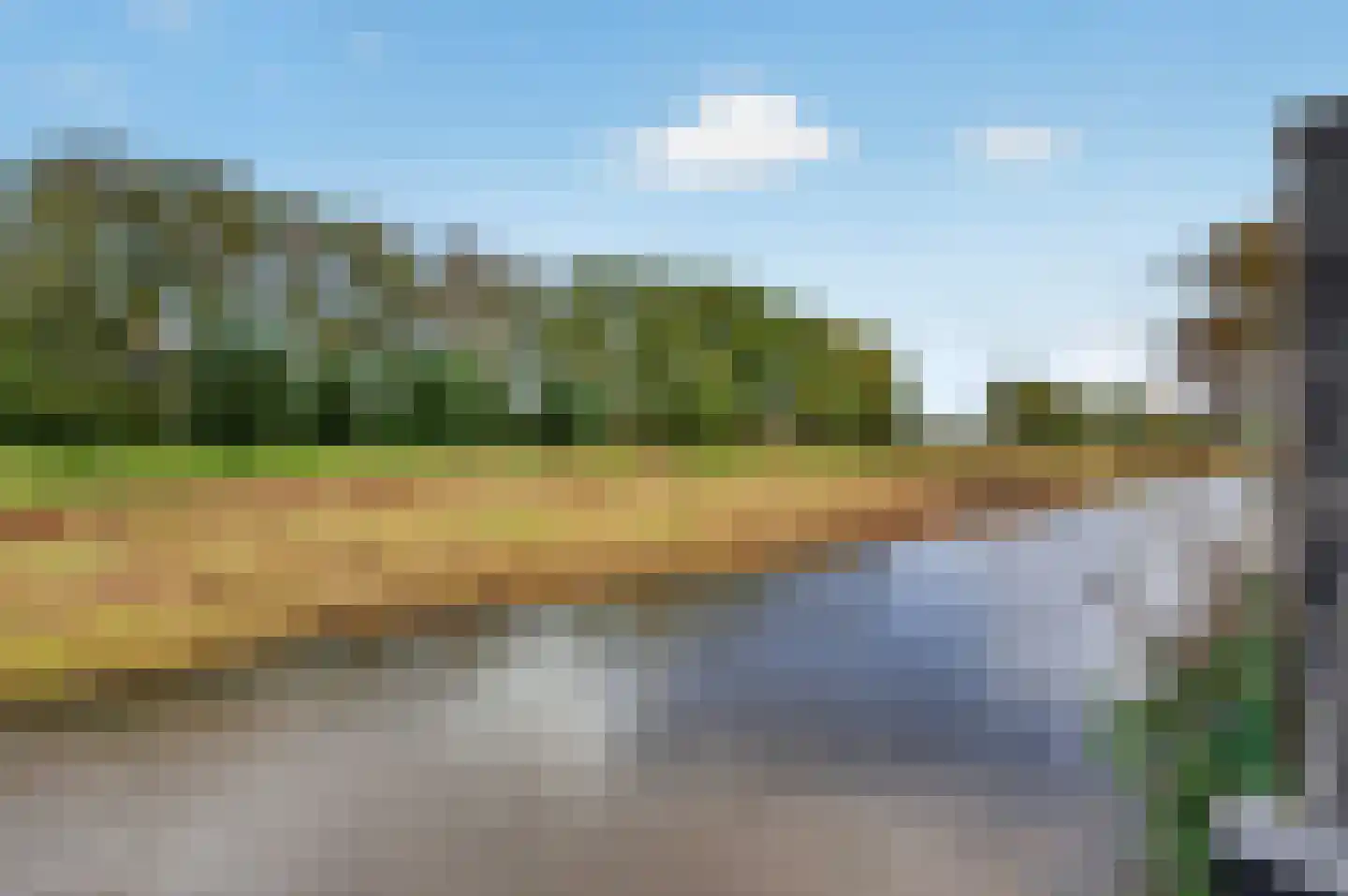 Roerdomp 2 Papendrecht thumbnail 48