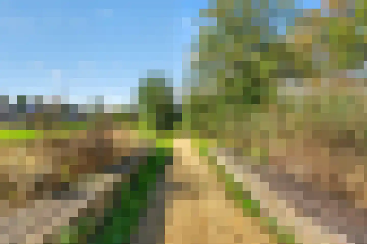 Roerdomp 2 Papendrecht thumbnail 49