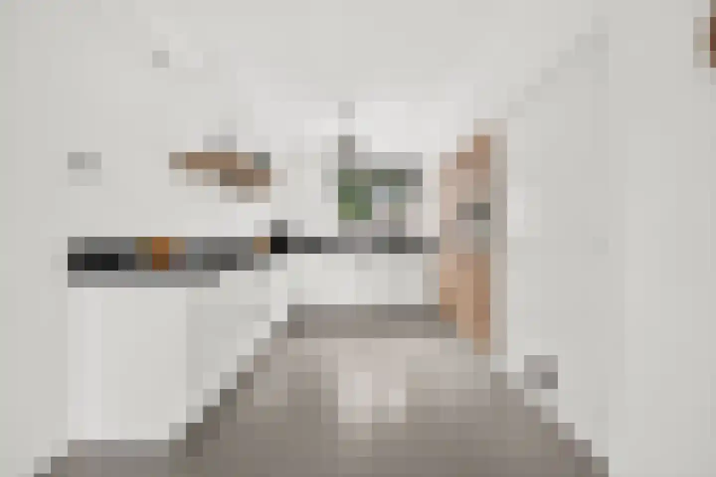 Roerdomp 2 Papendrecht thumbnail 5