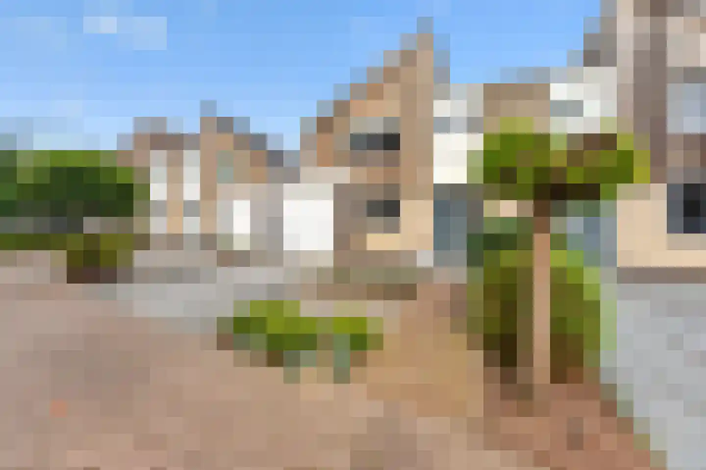 Roerdomp 2 Papendrecht thumbnail 50