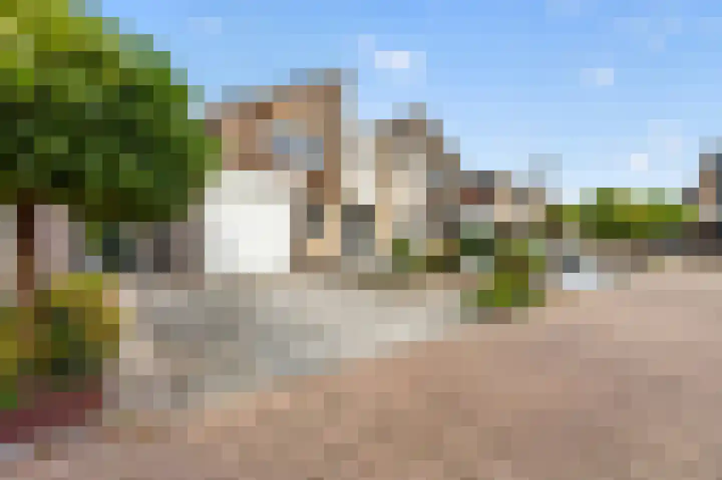 Roerdomp 2 Papendrecht thumbnail 51