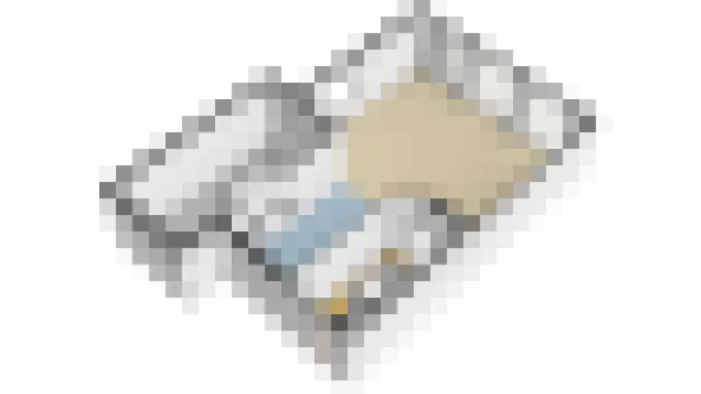 Roerdomp 2 Papendrecht thumbnail 54