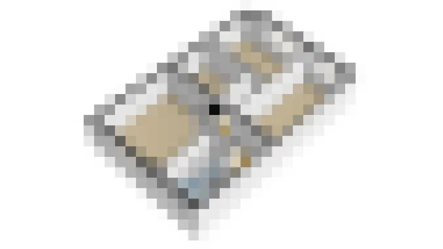 Roerdomp 2 Papendrecht thumbnail 56