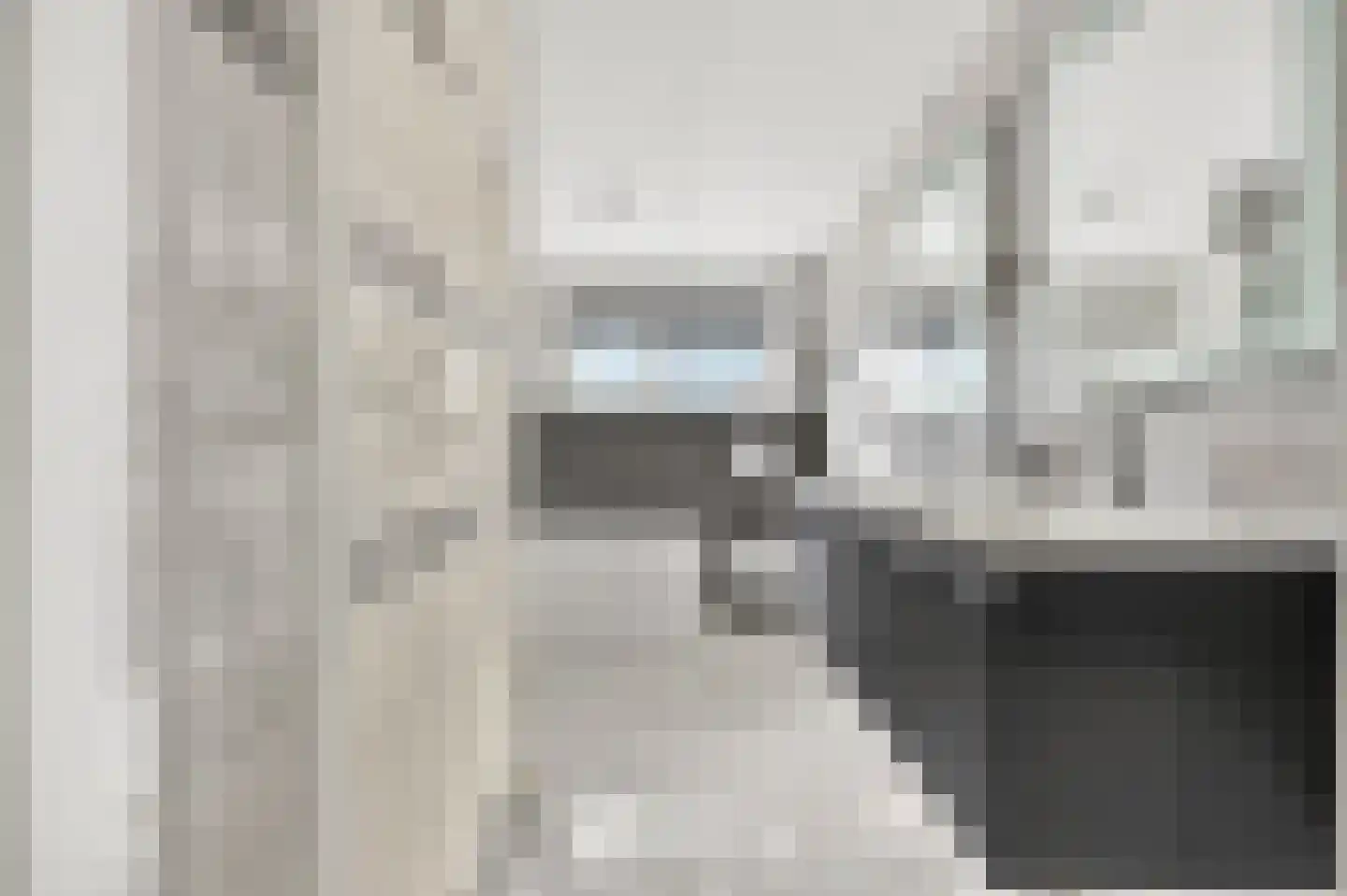 Roerdomp 2 Papendrecht thumbnail 6