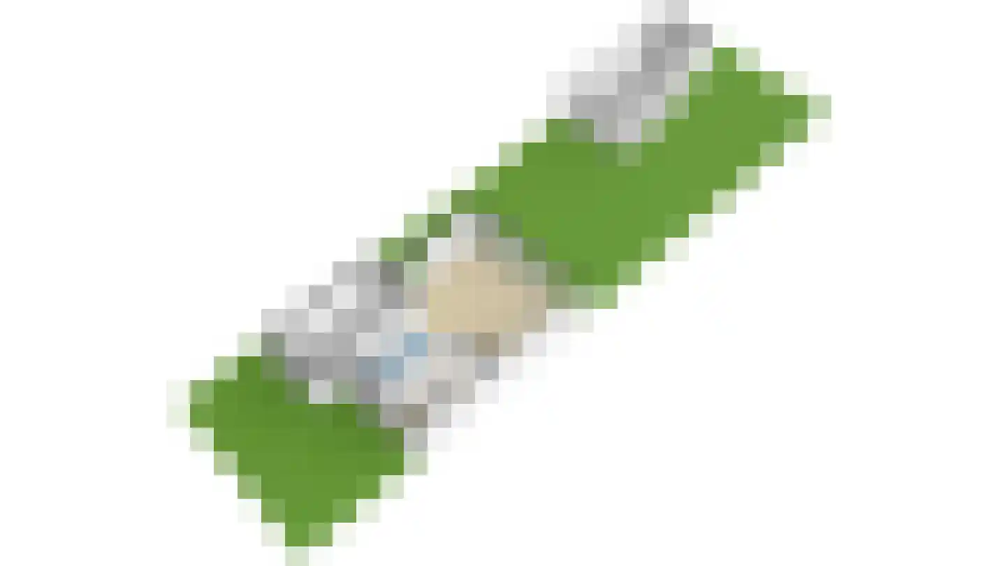Roerdomp 2 Papendrecht thumbnail 62