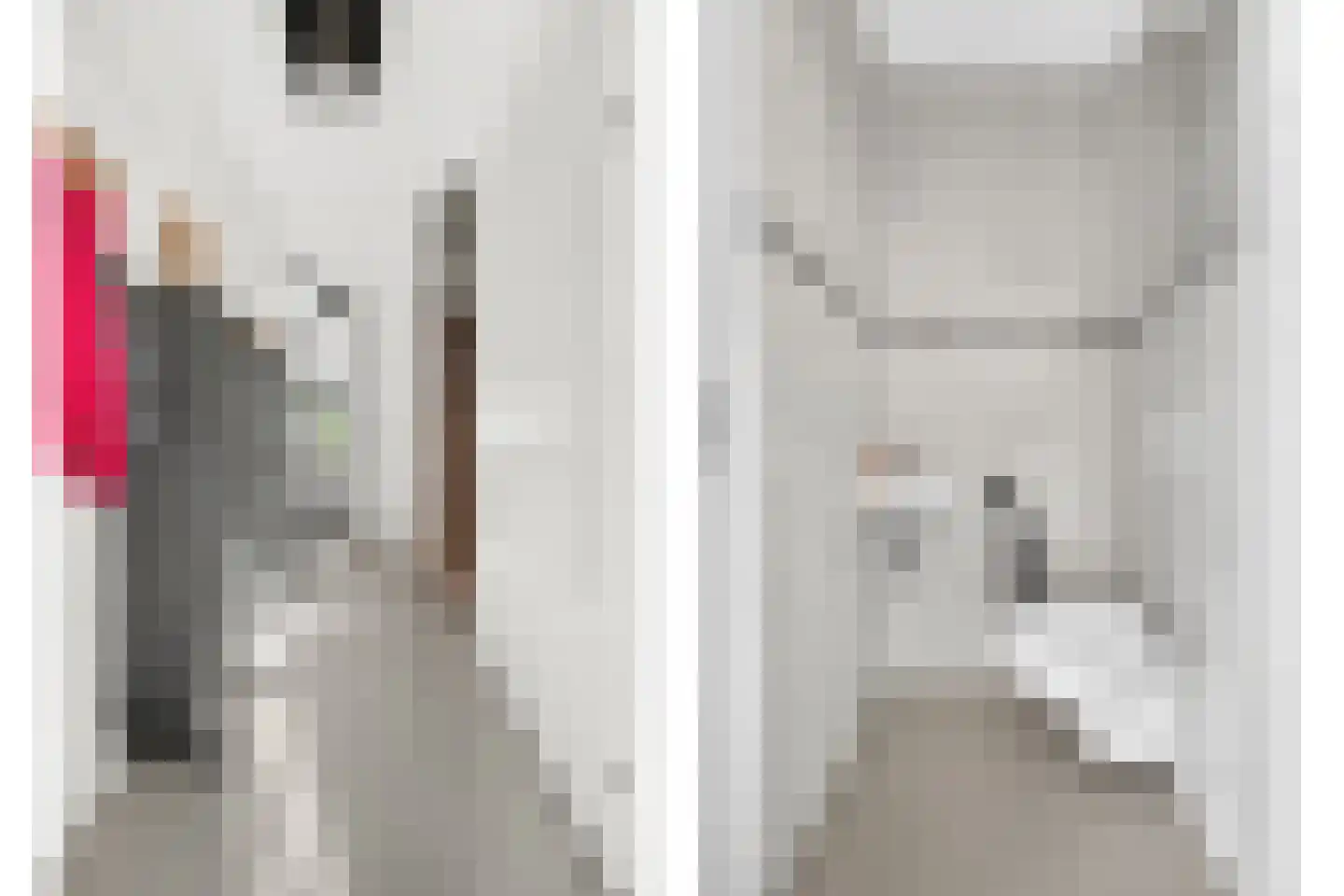 Roerdomp 2 Papendrecht thumbnail 8