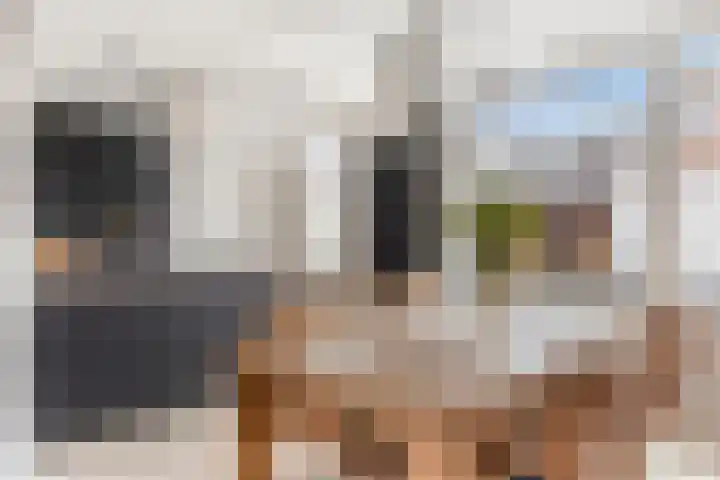 Roerdomp 20 Etten-Leur thumbnail 12