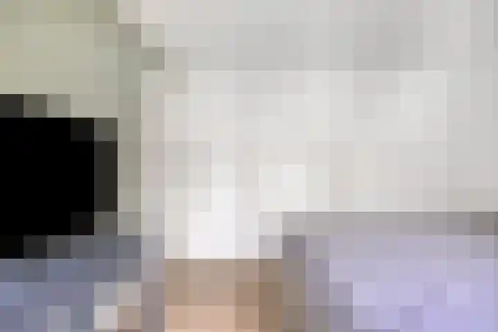 Roerdomp 20 Etten-Leur thumbnail 23