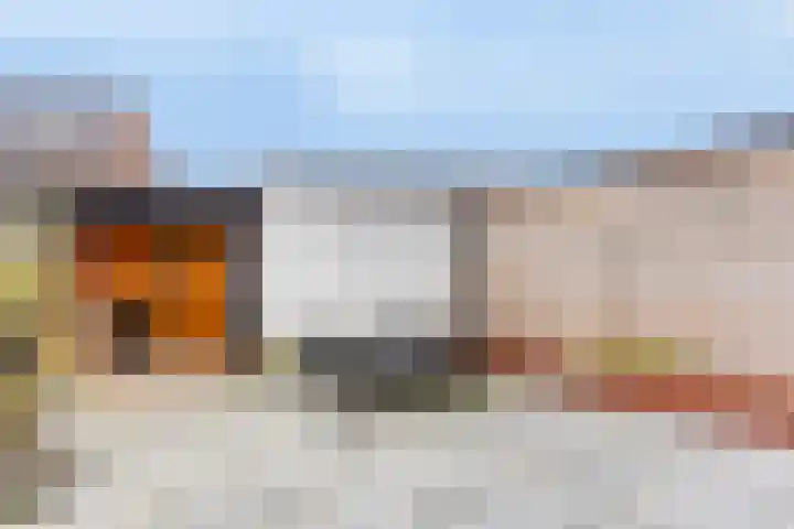 Roerdomp 20 Etten-Leur thumbnail 28