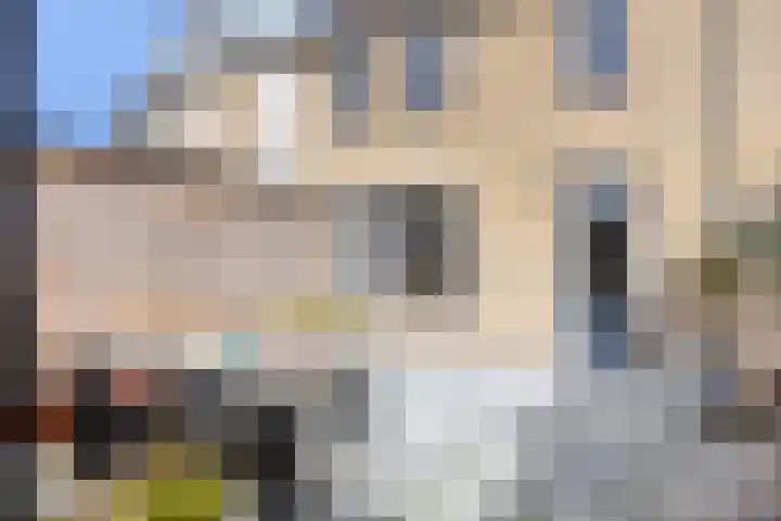 Roerdomp 20 Etten-Leur thumbnail 30