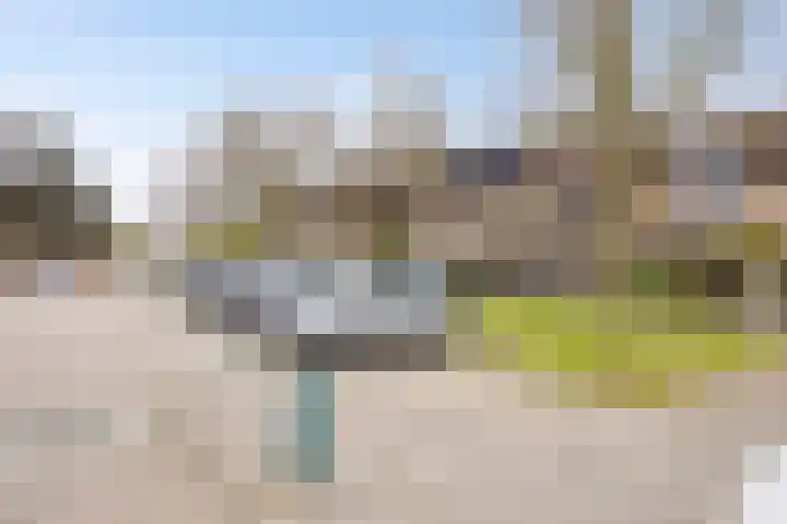 Roerdomp 20 Etten-Leur thumbnail 34