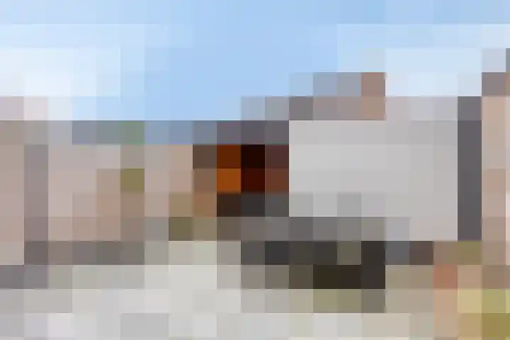 Roerdomp 20 Etten-Leur thumbnail 5