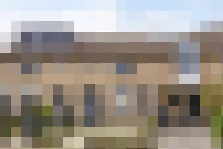 Roerdomp 20 Etten-Leur thumbnail 6