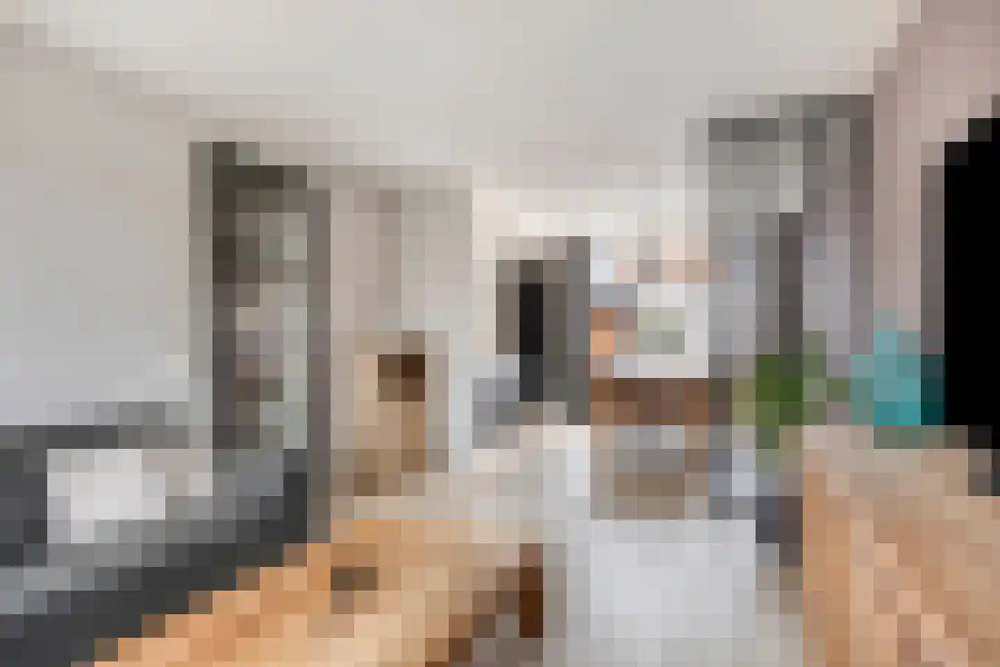 Roerdomp 20 Etten-Leur thumbnail 9