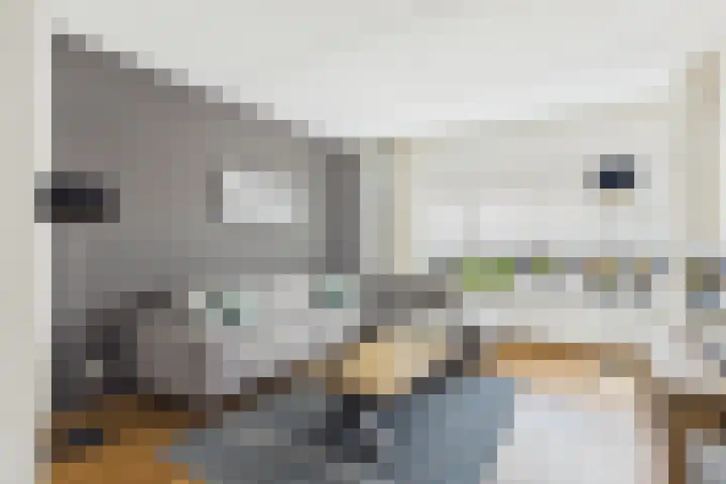 Roerdomp 20 Terneuzen thumbnail 14