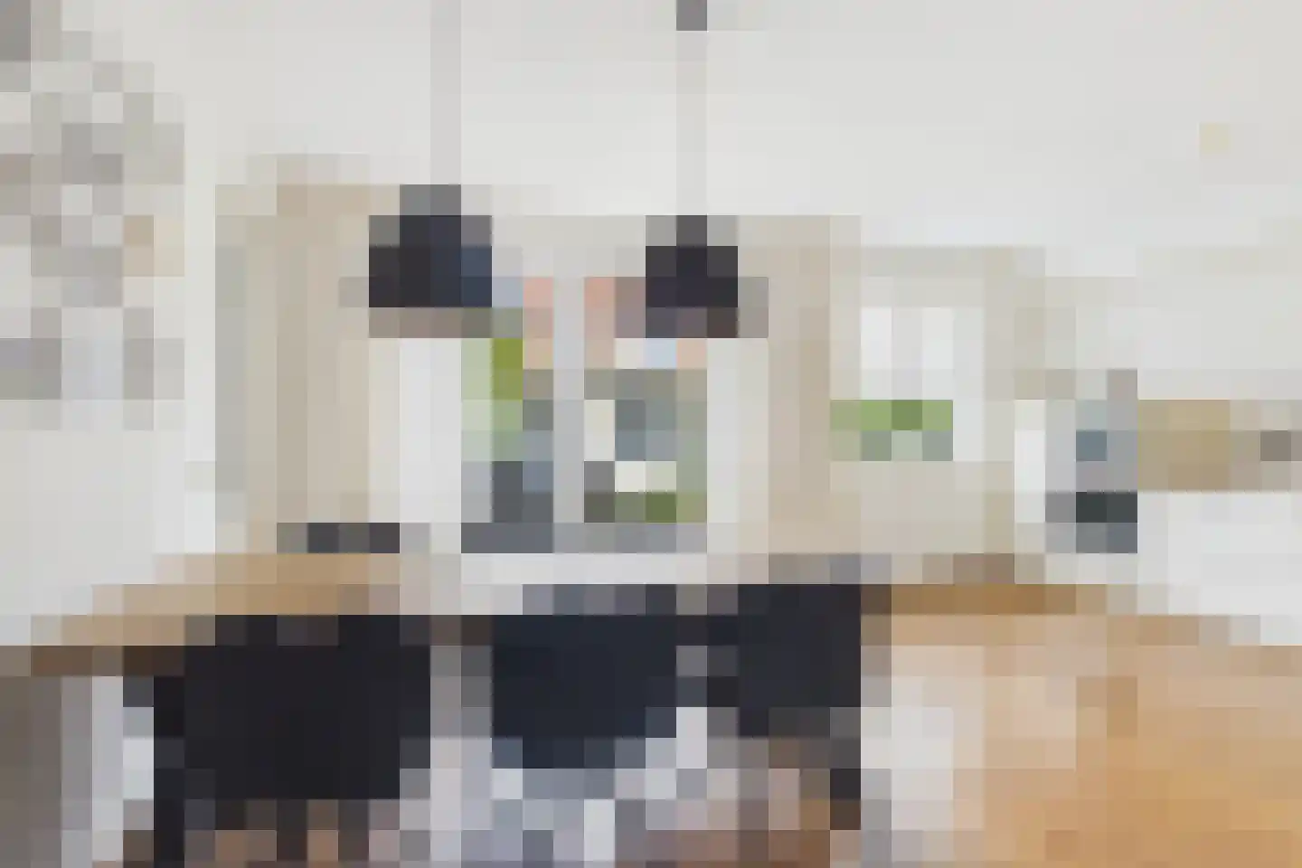 Roerdomp 20 Terneuzen thumbnail 17