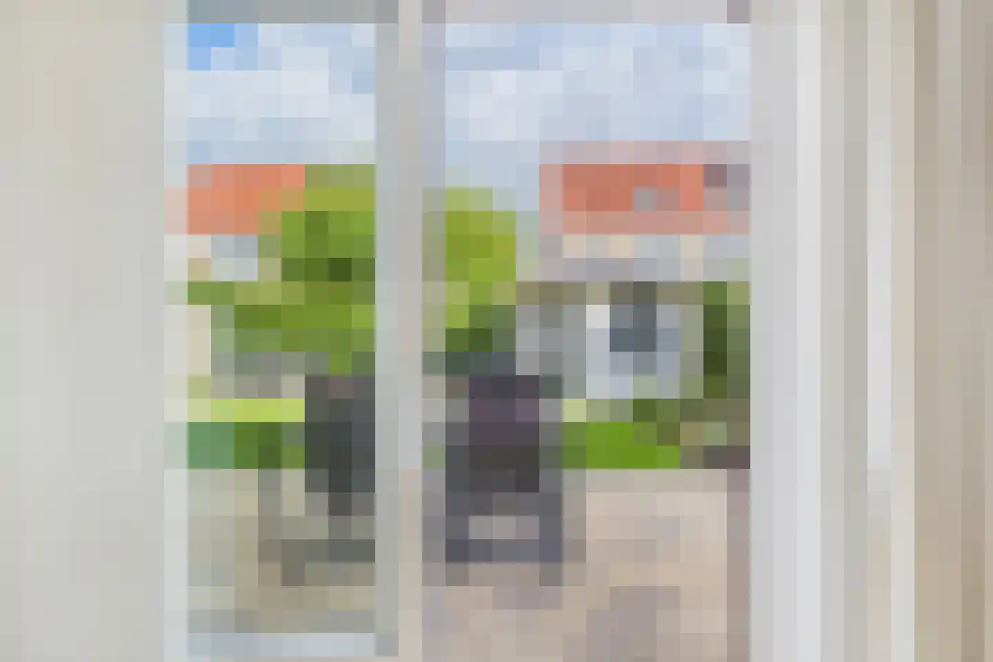 Roerdomp 20 Terneuzen thumbnail 20