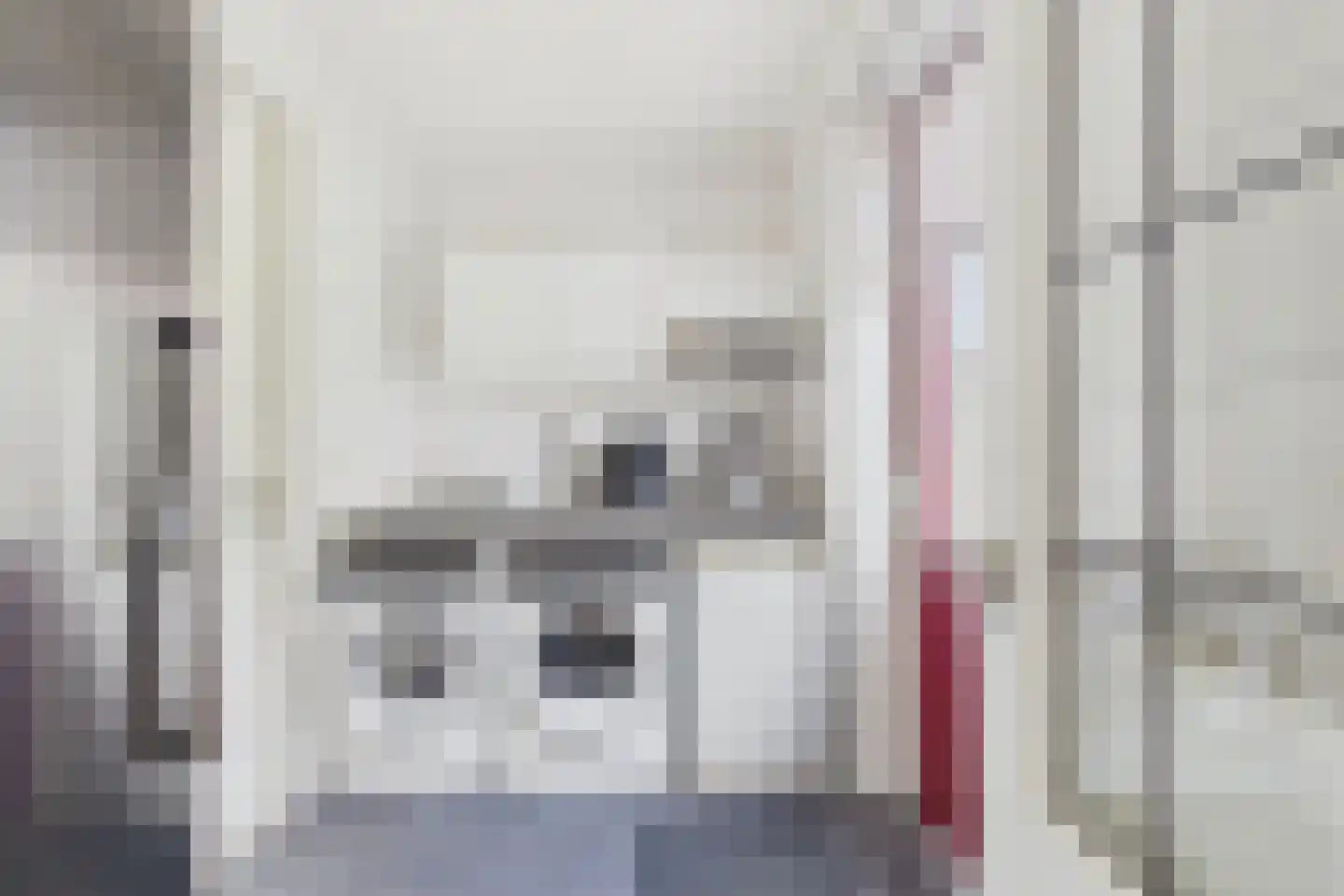 Roerdomp 20 Terneuzen thumbnail 21