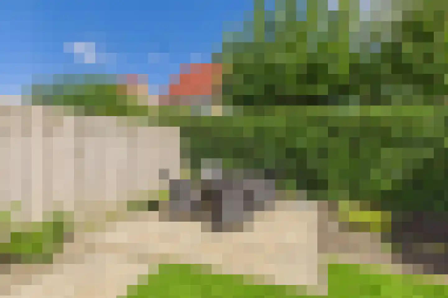 Roerdomp 20 Terneuzen thumbnail 37