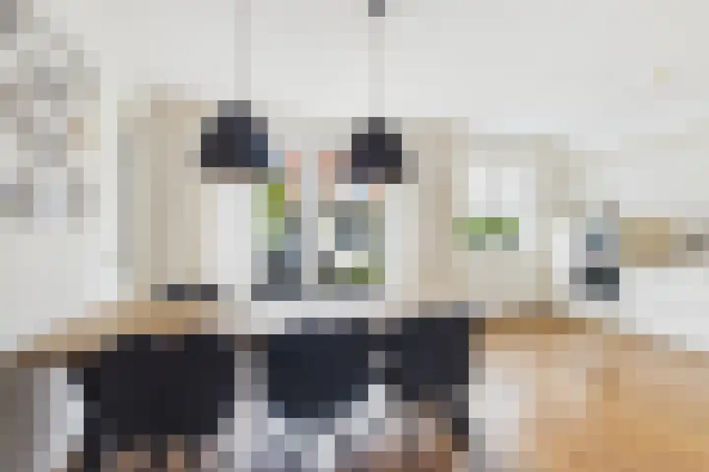 Roerdomp 20 Terneuzen thumbnail 4