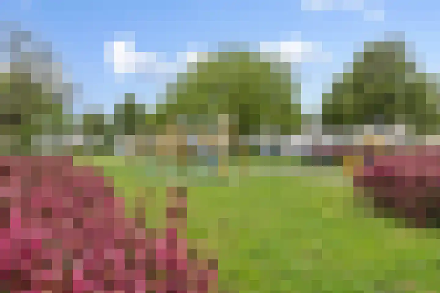 Roerdomp 21 's-Hertogenbosch thumbnail 30