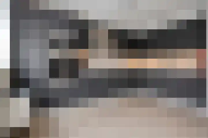 Roerdomp 22 Terneuzen thumbnail 10