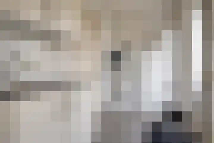 Roerdomp 22 Terneuzen thumbnail 11