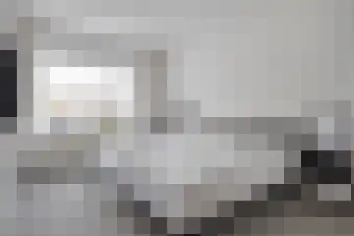 Roerdomp 22 Terneuzen thumbnail 14