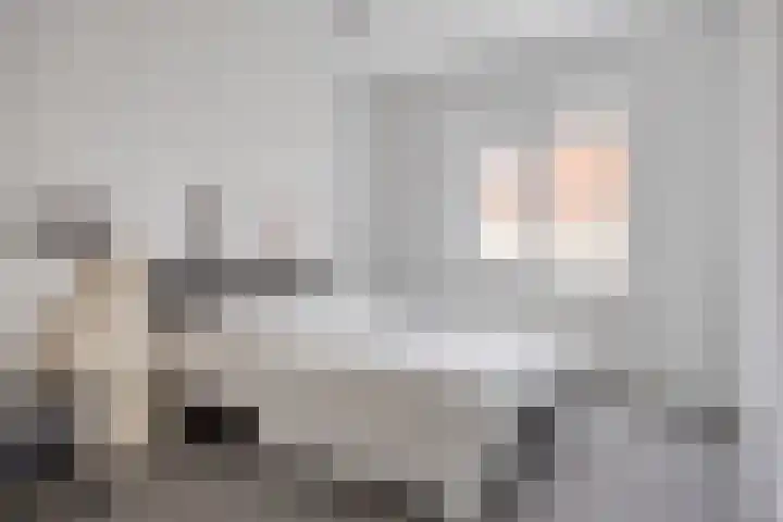 Roerdomp 22 Terneuzen thumbnail 16