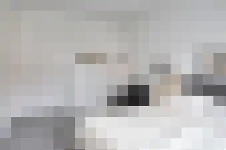 Roerdomp 22 Terneuzen thumbnail 17