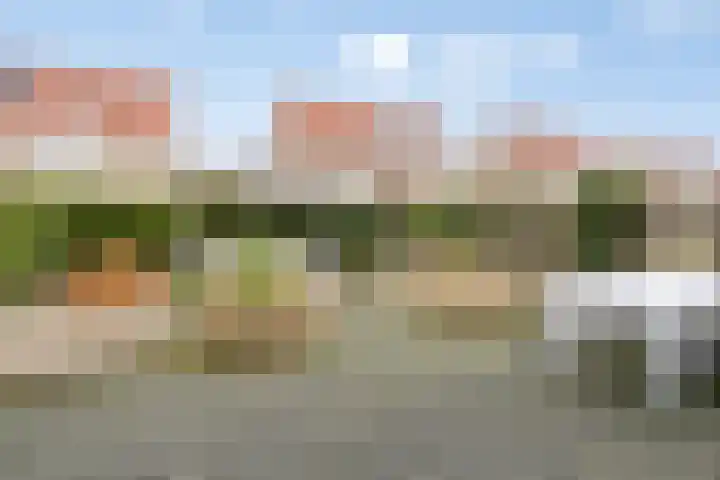 Roerdomp 22 Terneuzen thumbnail 22