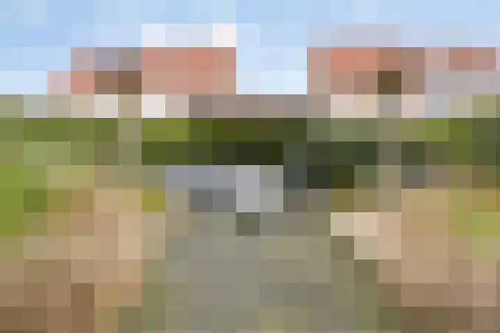 Roerdomp 22 Terneuzen thumbnail 23