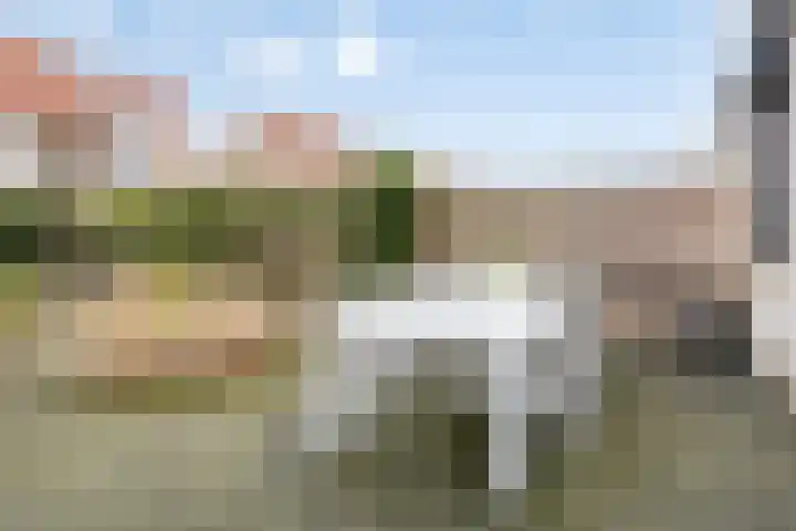 Roerdomp 22 Terneuzen thumbnail 24