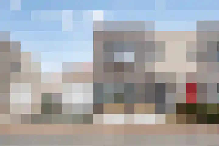 Roerdomp 22 Terneuzen thumbnail 25