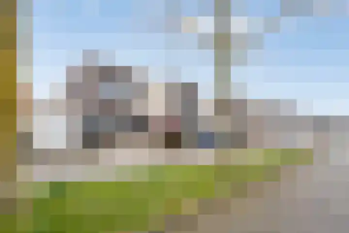 Roerdomp 22 Terneuzen thumbnail 26