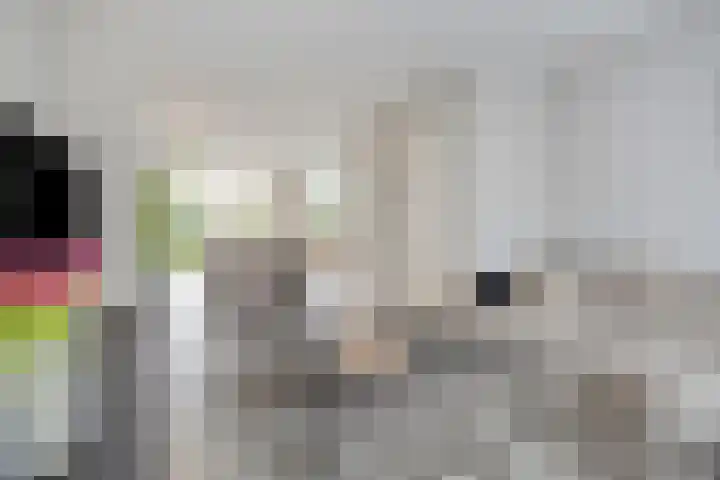 Roerdomp 22 Terneuzen thumbnail 4