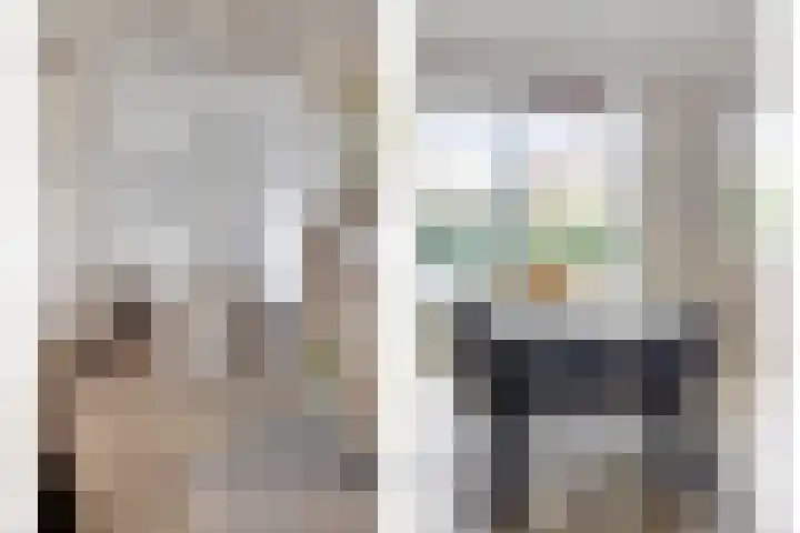 Roerdomp 22 Terneuzen thumbnail 5