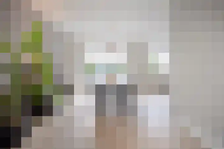 Roerdomp 22 Terneuzen thumbnail 6