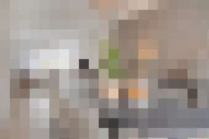 Roerdomp 22 Terneuzen thumbnail 7