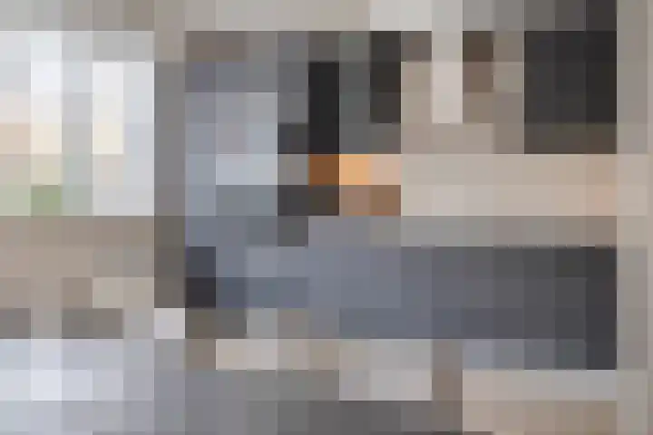 Roerdomp 22 Terneuzen thumbnail 9