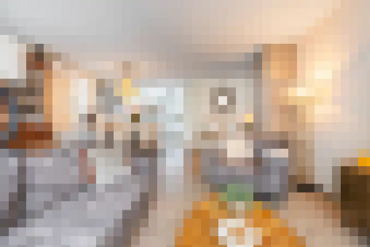 Roerdomp 24 Breda thumbnail 10