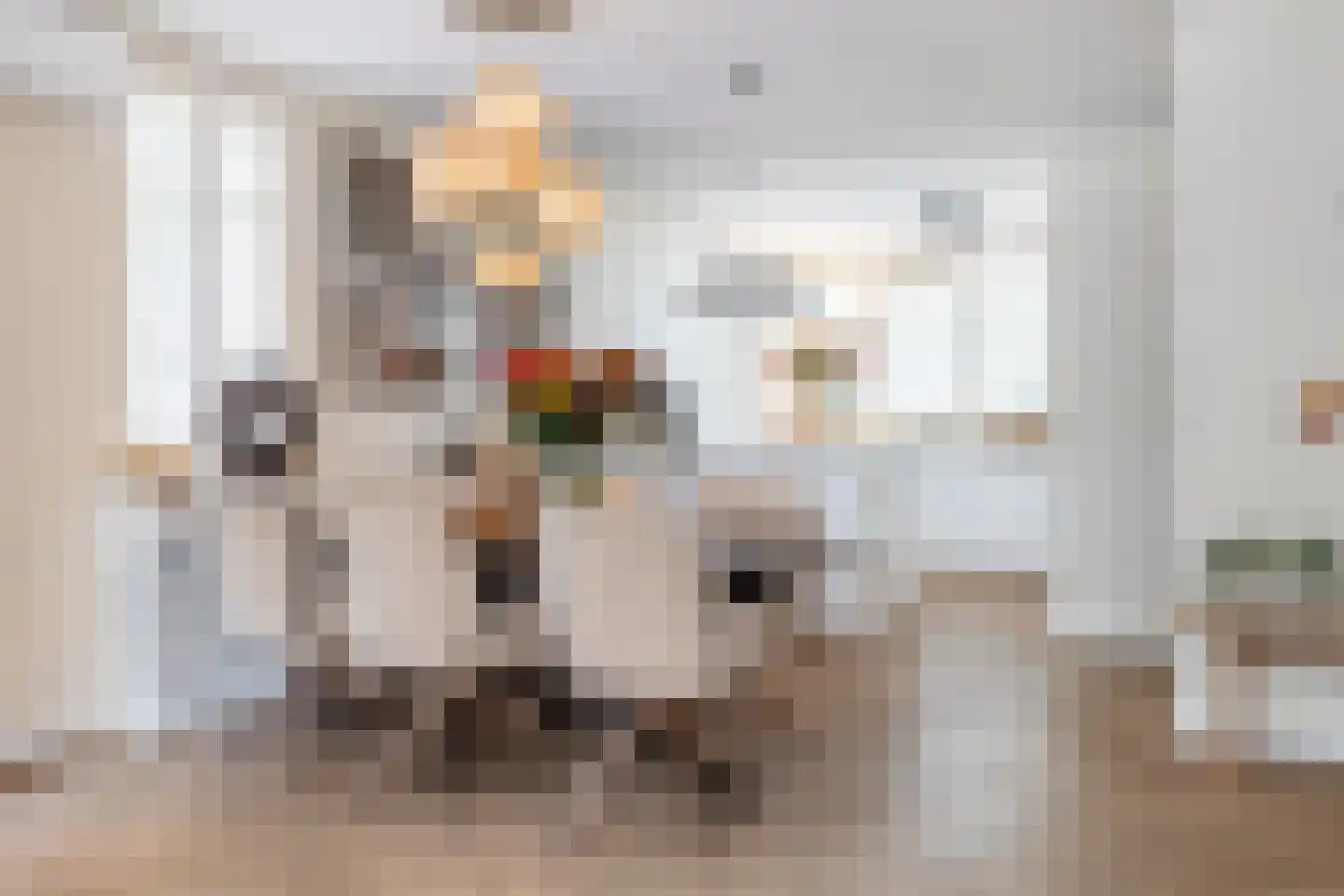 Roerdomp 24 Breda thumbnail 16