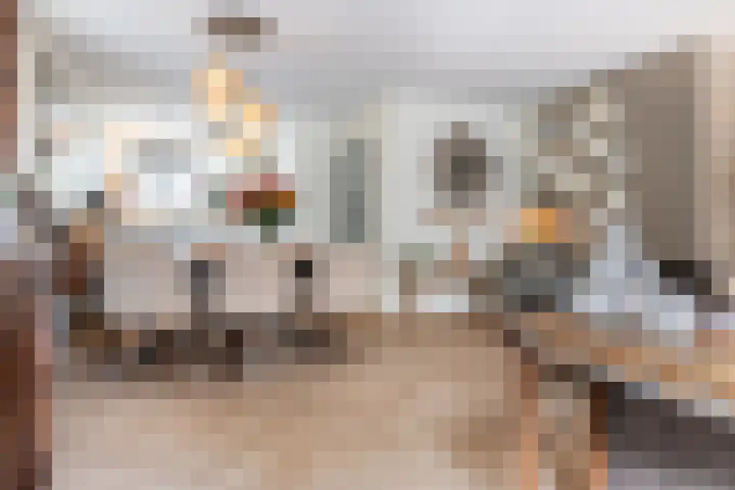 Roerdomp 24 Breda thumbnail 17
