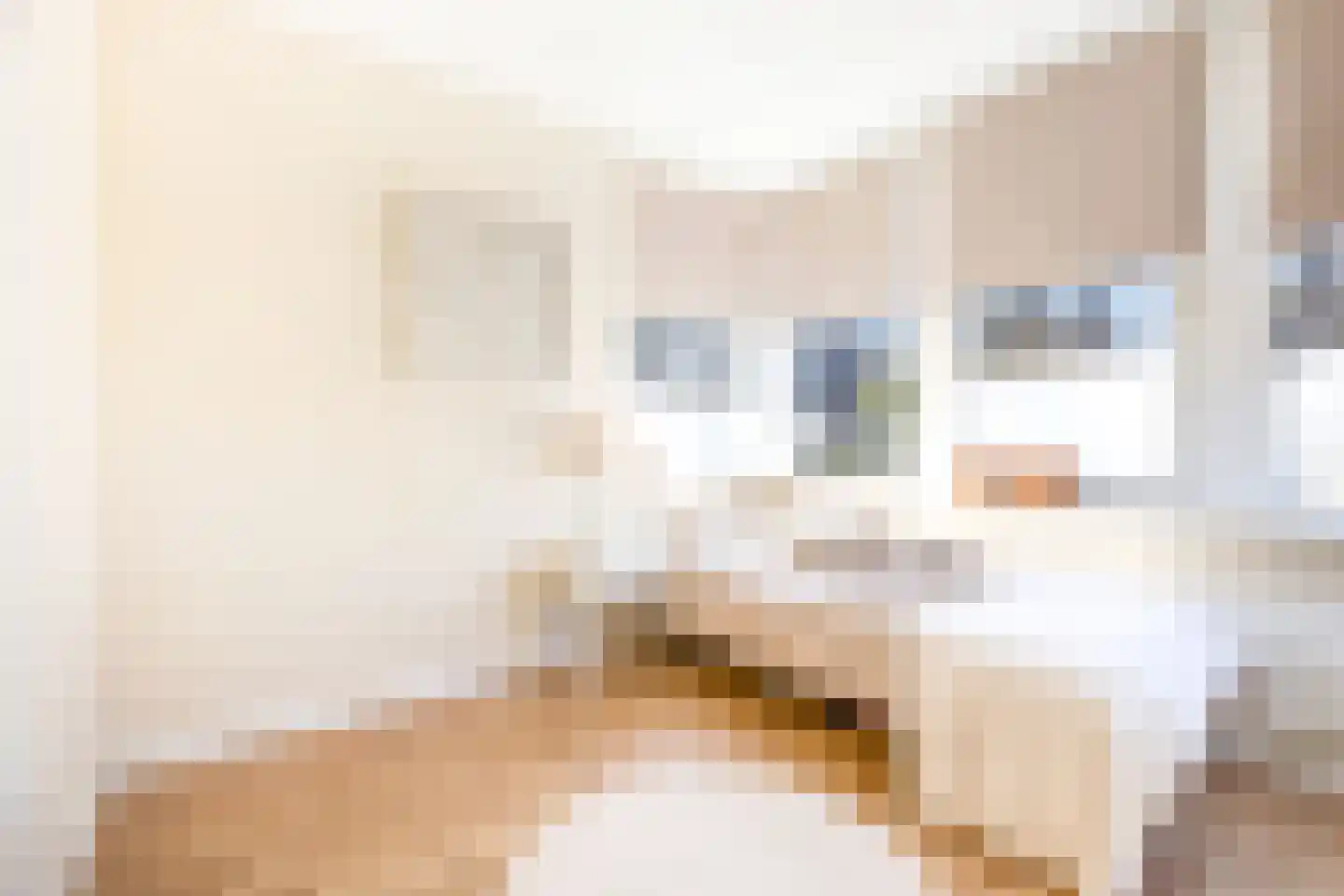 Roerdomp 24 Breda thumbnail 25