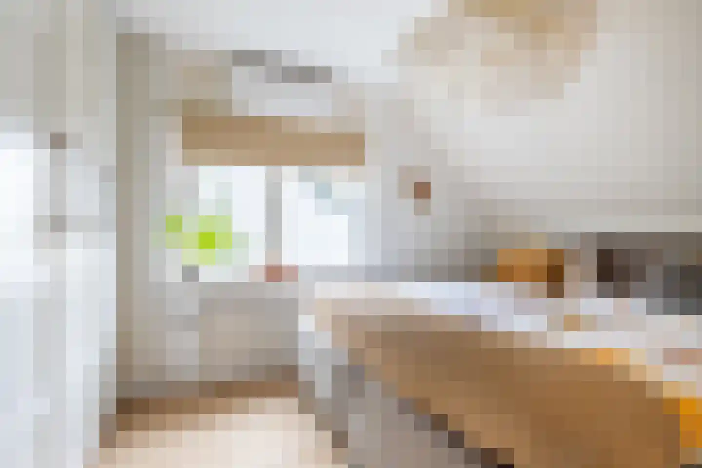 Roerdomp 24 Breda thumbnail 29